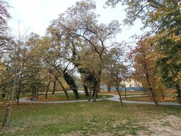 Zabytkowy budynek w Stróży odzyskuje swoją świetność